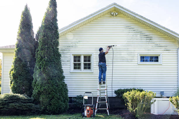 Animal Enclosure Cleaning in Big Rapids, MI